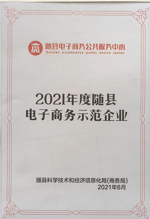 2021年度隨縣電子商務示范企業(yè)