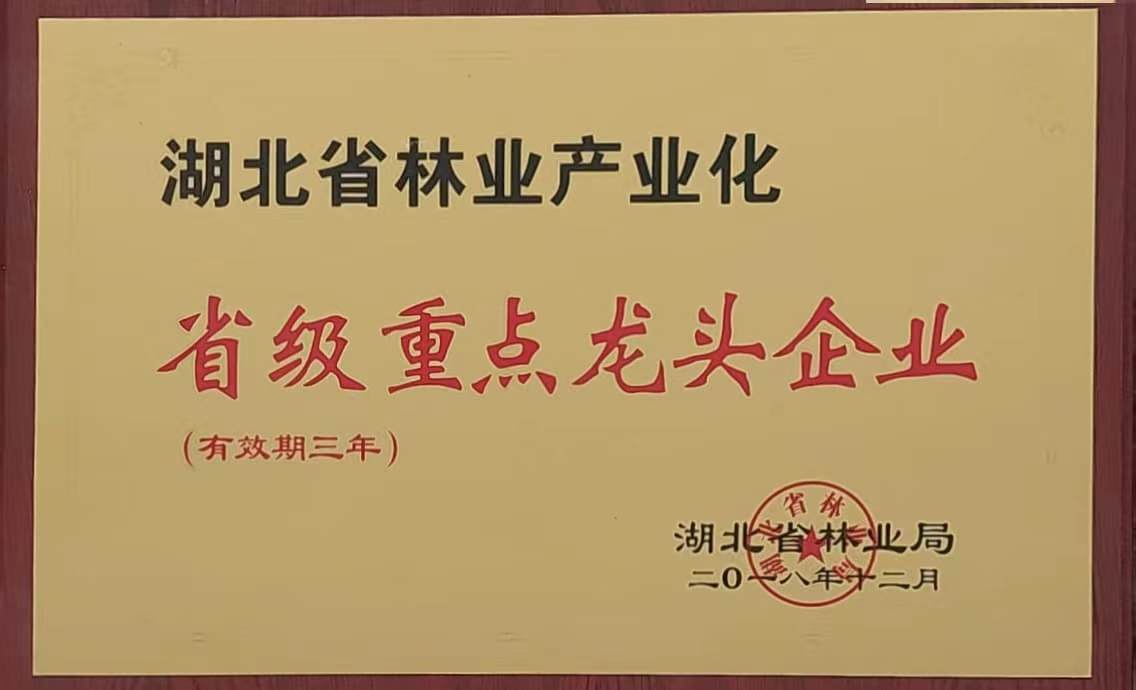 省林業(yè)產(chǎn)業(yè)化重點龍頭企業(yè)（2018.12）.jpg