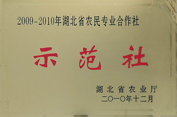 農民專業(yè)合作社示范社（2010.12）.jpg